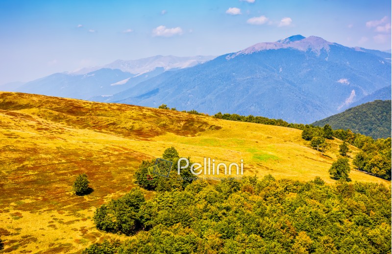 Polonyna Krasna Range of Carpathian Mountains with its peaks, hills, meadows and forests under the blue sky with clouds in late summer day