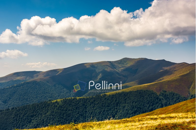 Carpathian Mountains with its peaks, hills and grassy meadows under the blue sky with clouds in summer day