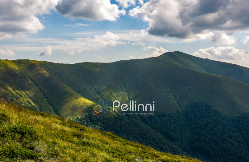 Carpathian Mountains with its peaks, hills and grassy meadows under the blue sky with clouds in summer day