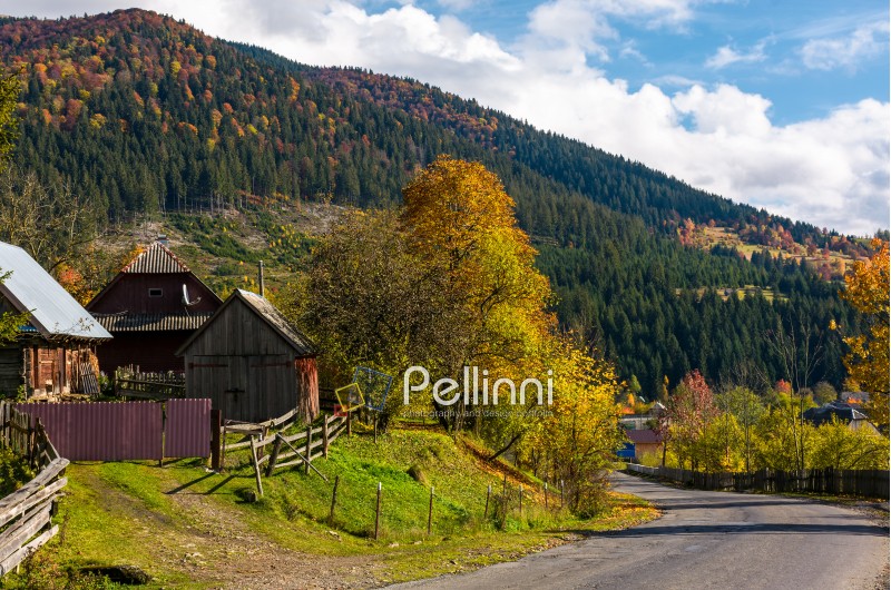 Carpathian mountain village in autumn. lovely countryside scenery