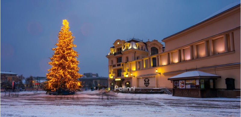 Christmas tree in the city center. Lovely postcard of Uzhgorod, Ukraine