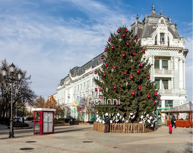Nyiregyhaza, Hungary - December 7, 2014: Christmas tree on the Nyiregyhaza central square