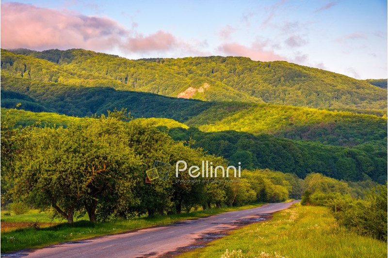 Empty asphalt countryside road in mountains. Serene springtime sunrise with pink light. Blue sky with some clounds