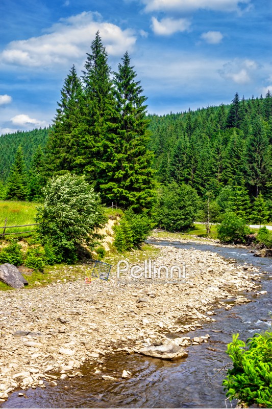 landscape with mountains river in front of conifer forest