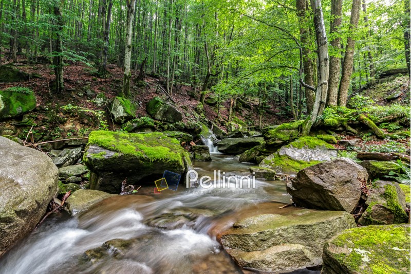 Mountain stream flows among the rocks through green forest