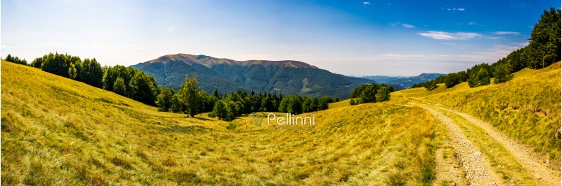 Panorama of Carpathian mountains in summer. Mountain Apetska in the distance. road through grassy meadow and forested hillsides. wonderful travel destination. location TransCarpathia, Ukraine