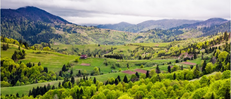 Panorama of Carpathian rural area in springtime. beautiful mountainous landscape on a cloudy day 