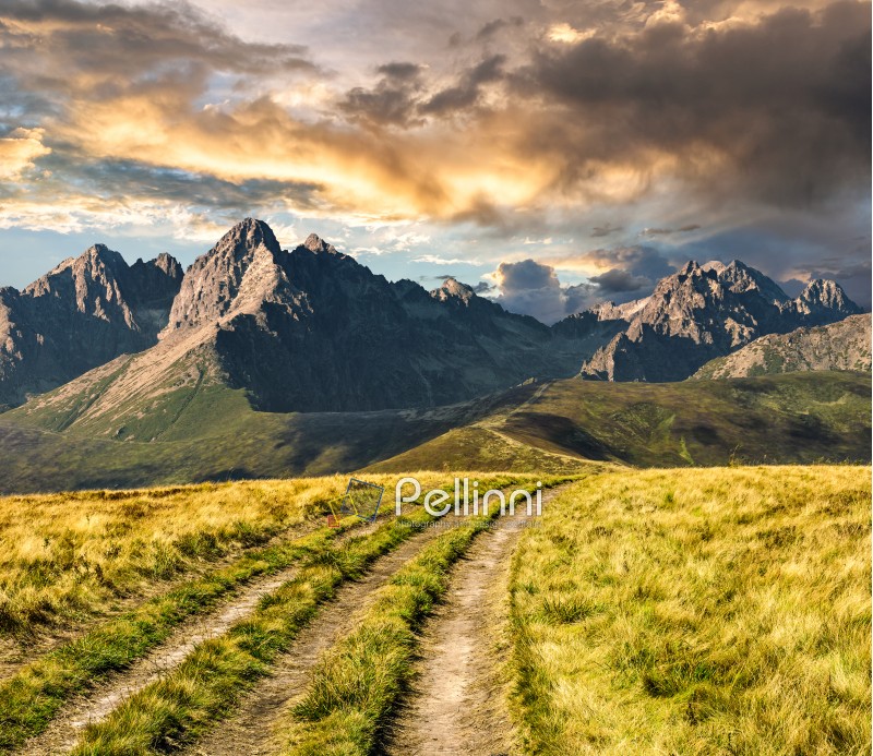 Composite Landscape image. Path through the meadow on hillside in Tatra mountains at sunset