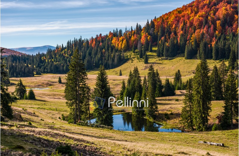 Pond in Carpathian mountains in autumn at sunrise. Mixed forest on hillsides of Apuseni National park in Romania. Bihor Mountain ridge in the distance