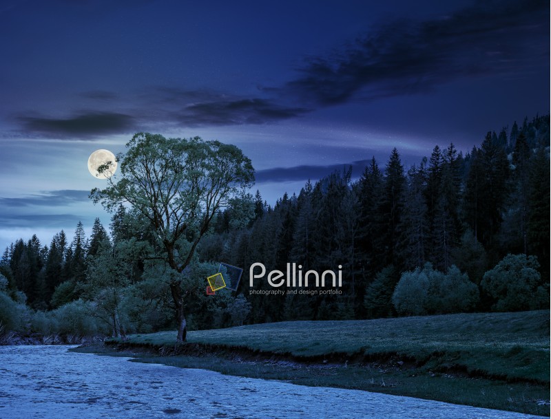 River flows among of a green forest at the foot of the mountain. picturesque nature of rural area in Carpathians at night in full moon light