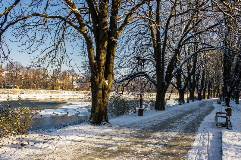 Snowy Kiev embankment in Uzhgorod. beautiful and sunny winter day. walk on fresh air along the chestnut tree alley