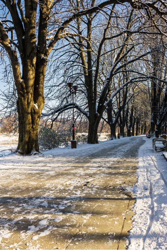 Snowy Kiev embankment in Uzhgorod. beautiful and sunny winter day. walk on fresh air along the chestnut tree alley