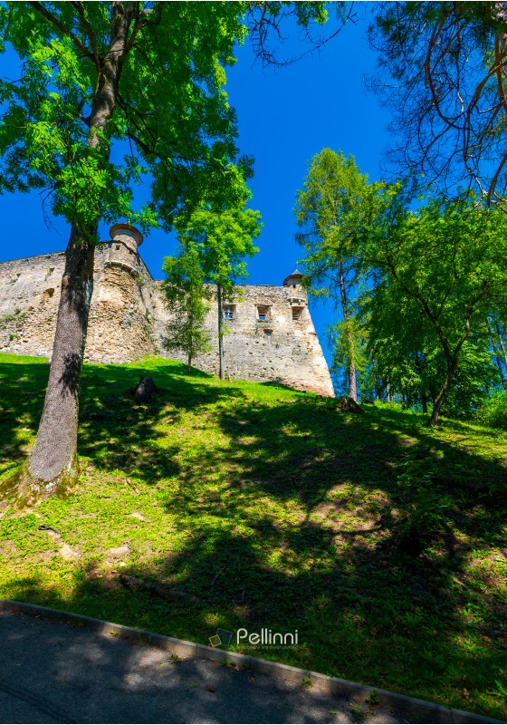 Stara Lubovna Castle of Slovakia on the hillside. beautiful medieval architecture. popular tourist attraction. lovely summer scenery