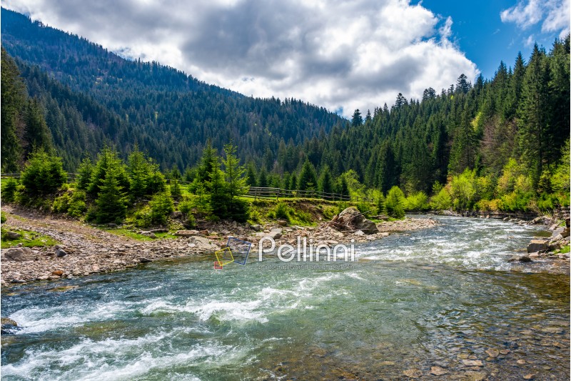 Tereblya river of Carpathan mountains. Beautiful springtime scenery in rural part of Synevir National park