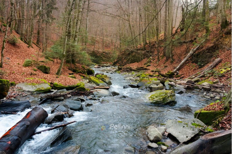 Turichka river in the forest near Lumshory village of TransCarpathia, Ukraine. beautiful autumnal scenery