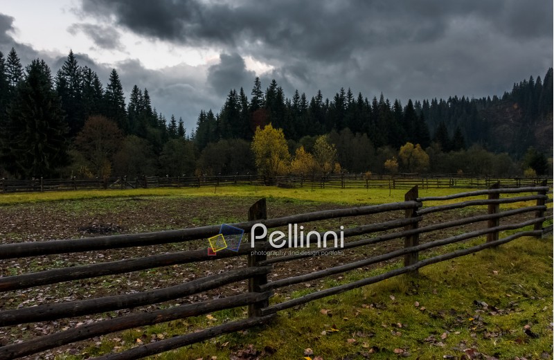 wooden fences among agricultural fields in forest on cloudy autumn day