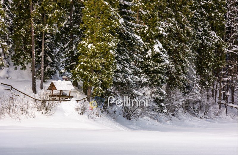 alcove in snowy spruce forest. lovely winter scenery