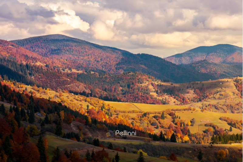 autumn countryside in mountains in red sunset. beautiful landscape in Carpathian mountains