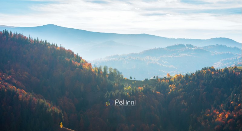 beautiful autumn landscape in mountains. blue hazy afternoon in countryside. rolling hills with colorful mixed forest. wonderful nature of romania