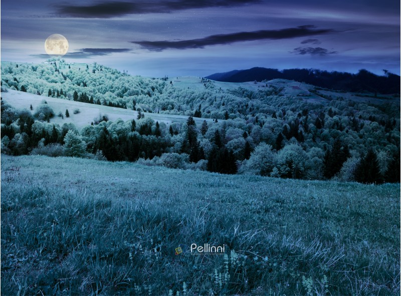 beautiful mountainous countryside in springtime at night. grassy meadows and forested hill. freshness of nature concept