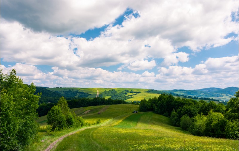 beautiful countryside of Carpathians in summer. country road through rural fields leads in to the forest. landscape with rolling hills under the cloudy sky