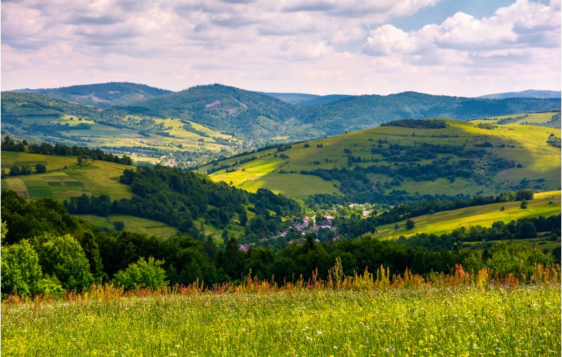 beautiful countryside with grassy fields in summer. Carpathian mountain landscape with village in valley