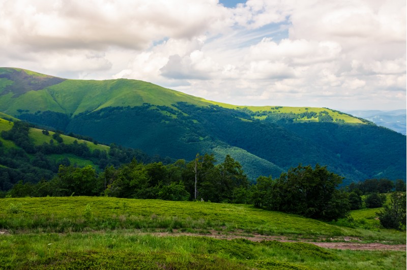 beautiful green hills of Borzhava mountain ridge. lovely landscape on a cloudy day. foot path across the meadow