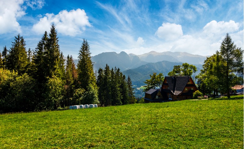 beautiful landscape of Tatra Mountains. location Zakopane village, Poland. lovely scenery with forest on a grassy meadow and a ridge under the gorgeous sky in the distance