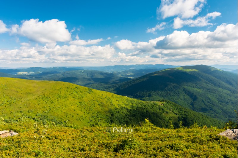 beautiful landscape of carpathian mountains. grassy alpine meadows, deep valleys and distant forested hills. wonderful sunny weather at sunset in summertime. fluffy clouds on the blue sky