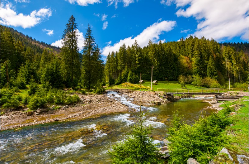 beautiful landscape with forest river in mountains. lovely springtime scenery on bright day with some clouds on a blue sky. wooden bridge to camping place in a distance
