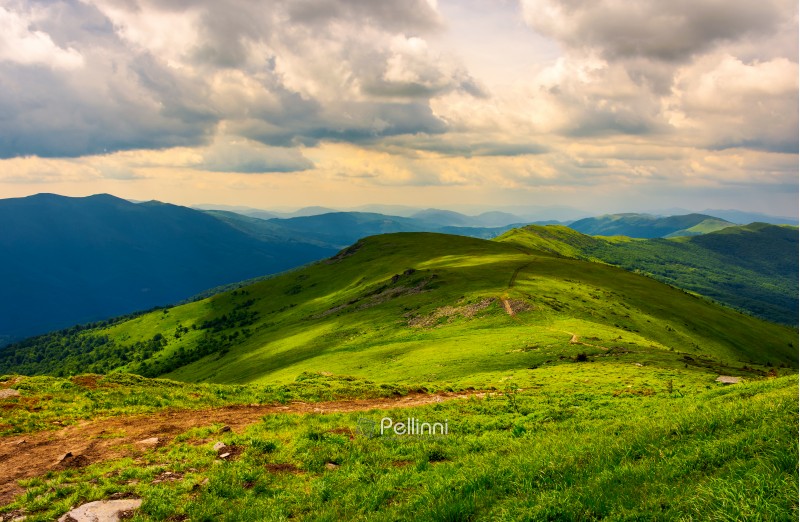 beautiful mountain landscape with grassy hills. sky with fluffy clouds. foot path in to the distance