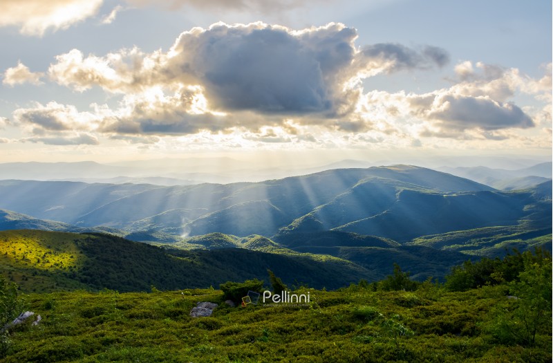 beautiful mountainous summer landscape. sun ray fall on hillside. sun behind the cloud. lovely scenery in afternoon
