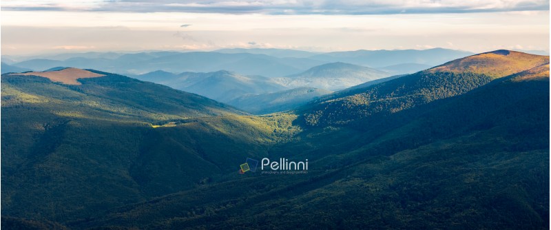 beautiful panorama of mountain range in morning light. alpine meadows with weathered grass.