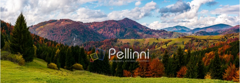 beautiful panorama of mountainous rural area. gorgeous Carpathian autumn landscape