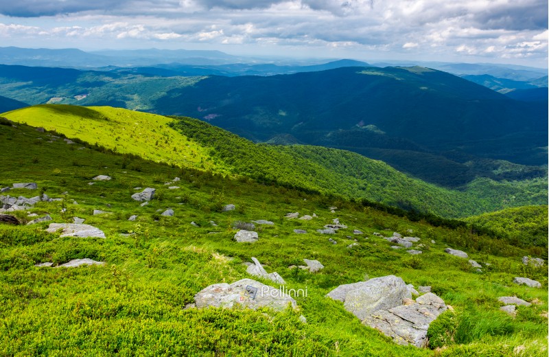 grassy slope with rocks on high altitude in mountains. beautiful summer landscape of Carpathians