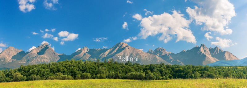beautiful sunny day in mountainous countryside. row of trees behind the field. High Tatra mountain ridge in the distance. composite imagery