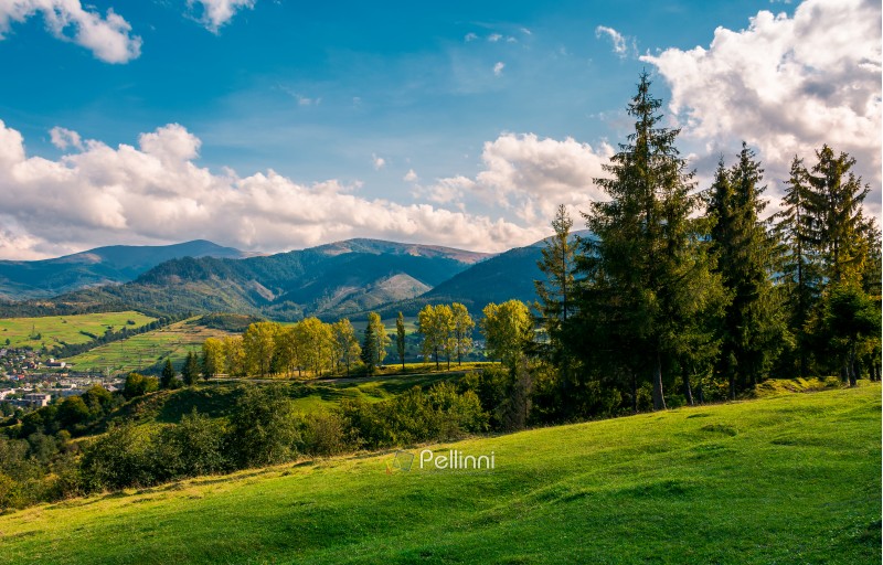 beautiful view in to the rural valley. gorgeous countryside with forest on grassy hill and distant mountain under the gorgeous autumn cloudscape in afternoon