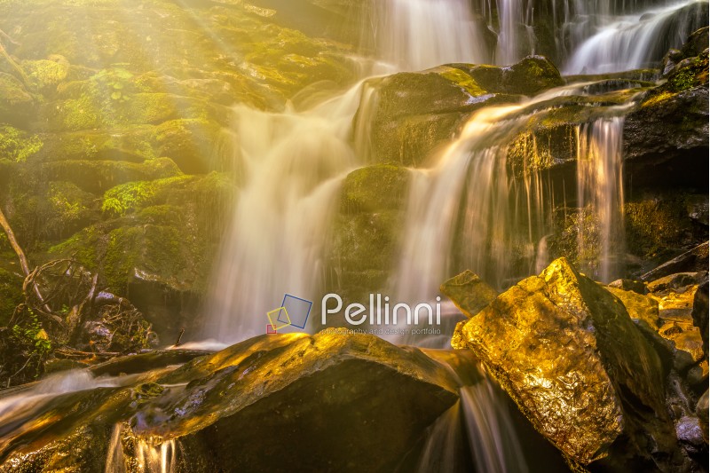 incredibly beautiful and clean little waterfall with several cascades over large stones in the forest comes out of a huge rock covered with moss in rays of morning sun