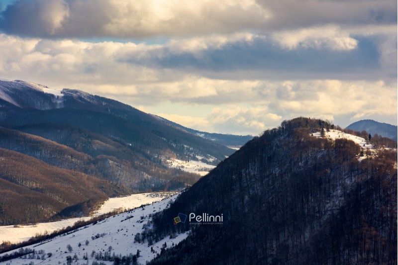 beautiful winter scenery of Carpathian mountains on a cloudy day