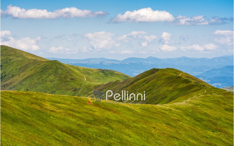 blue sky with some clouds over the green and grassy hills of Carpathian alps. road winds uphill the mountain meadow. beautiful minimalistic summer landscape in good day weather.