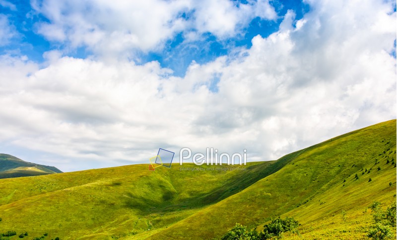 deep blue sky with some clouds over the green and grassy hills of Carpathian alps. road winds uphill the hillside meadow. beautiful minimalistic summer landscape in good day weather.