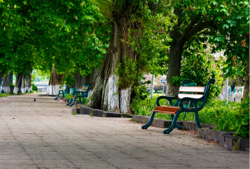 bench in the shade of chestnut alley. lovely urban scenery in summer