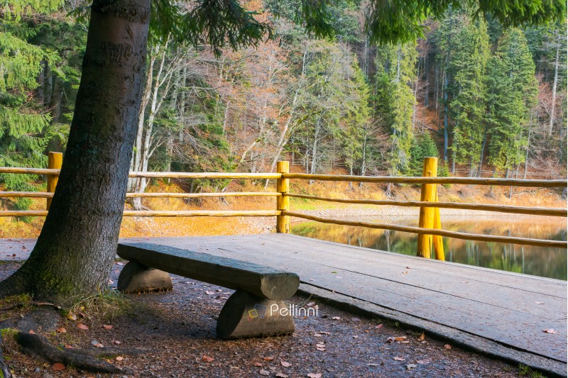 bench on the wooden pier of Synevyr lake in autumn. wonderful nature scenery in good weather