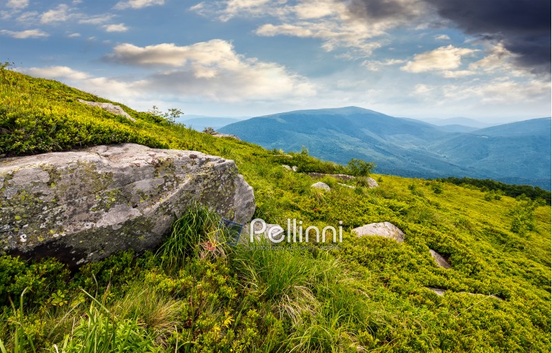 boulder on the grassy hillside. beautiful mountain landscape