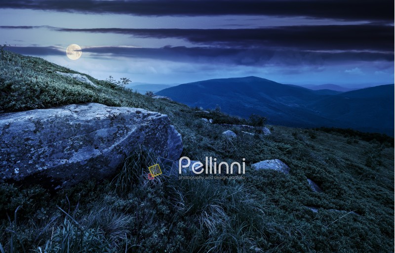 boulder on the grassy hillside. beautiful mountain landscape at night in full moon light