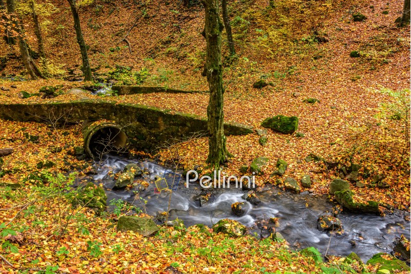 bridge; forest; autumn; wood; creek; water; yellow; park; foliage; river; stream; nature; beauty; tree; stone; colorful; fall; beautiful; hill; outdoor; tranquil; scene; brook; october; tourism; scenic; natural; green; travel; leaf; flow