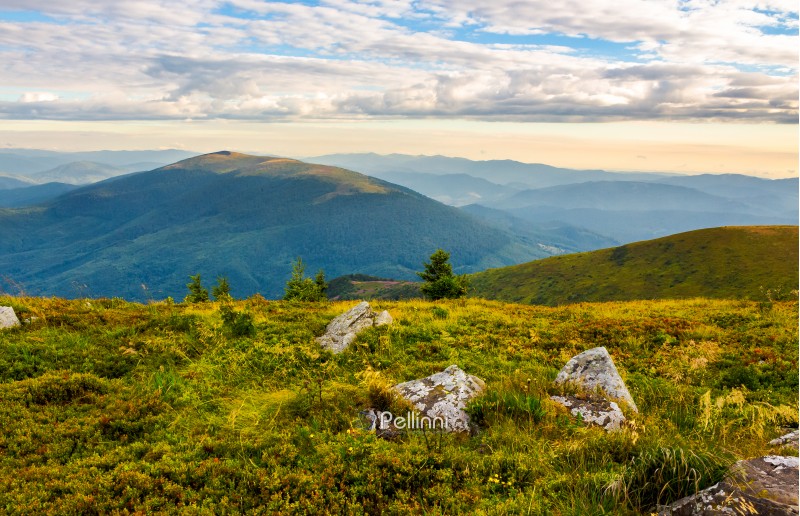 boulders on grassy hill in summer. lovely nature scenery under the cloudy sky in Carpathian mountains, Ukraine