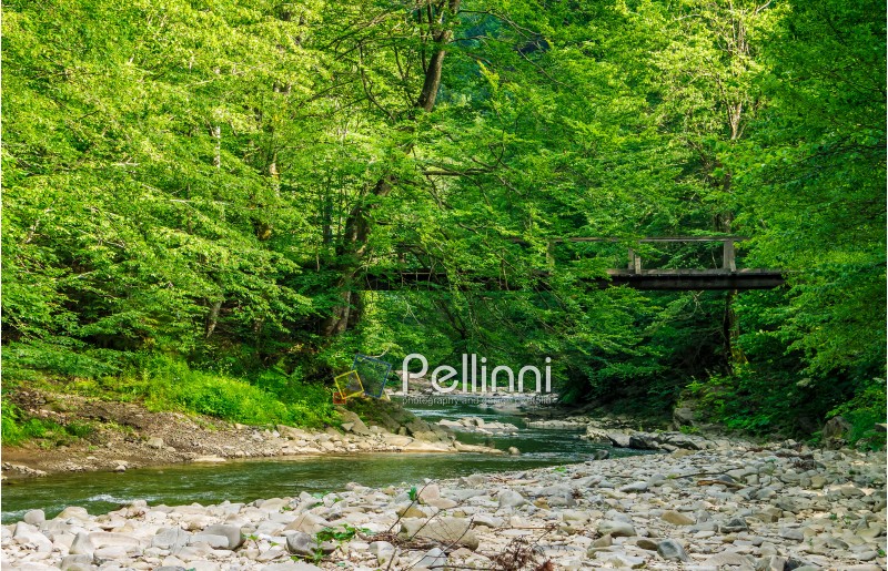 wooden bridge over the winding forest river. rocky shoreline among green trees. wonderful summer nature.