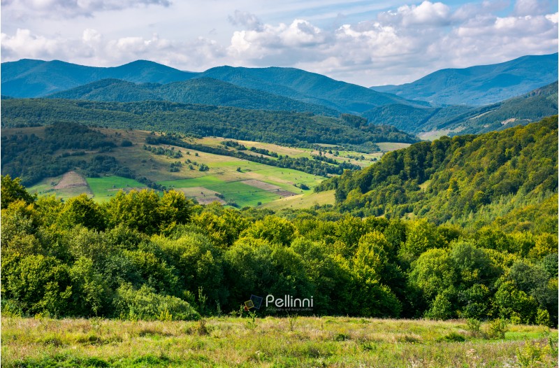 beautiful mountainous countryside. calm and relaxing scene. forested hill and rural fields in the distance