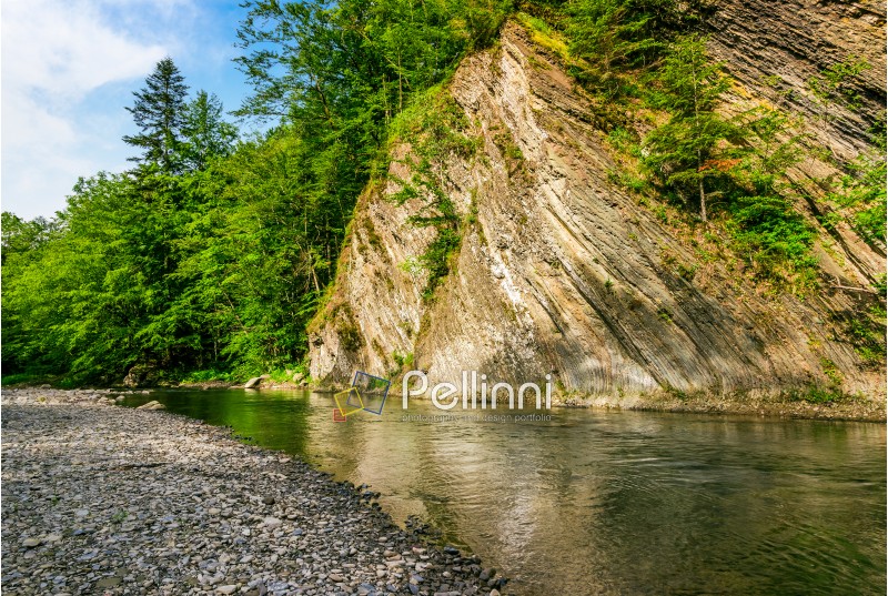 calm forest river under rocky cliff. beautiful summer nature background
